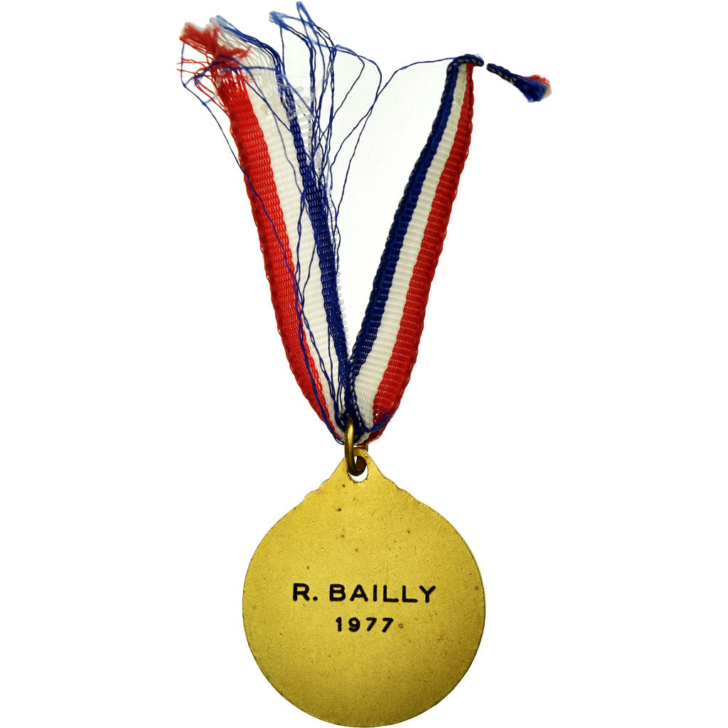 France, Ligue du Nord de Football, Médaille, 1977, Excellent Quality, Gilt
