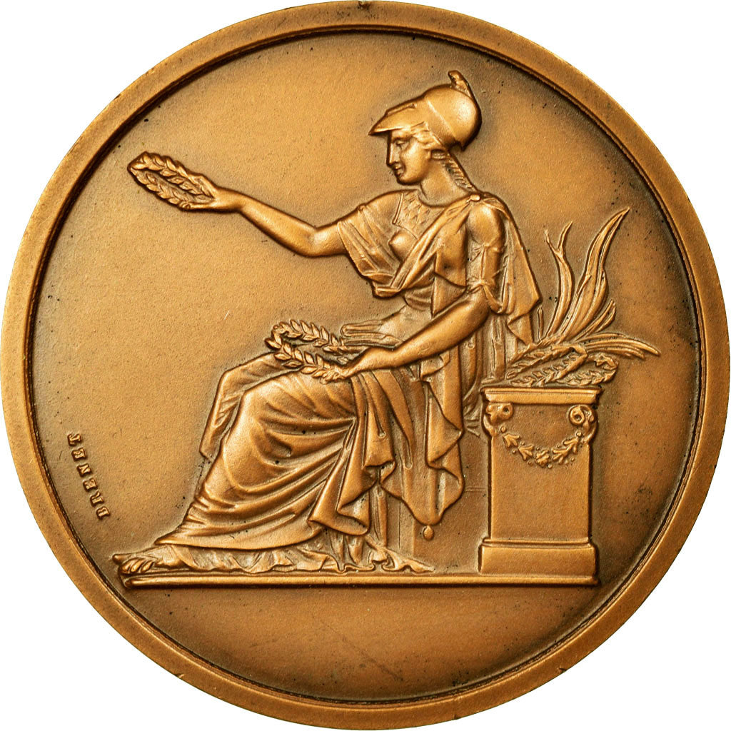 France, Medal, Société Industrielle du Nord de la France, 1967, Brenet