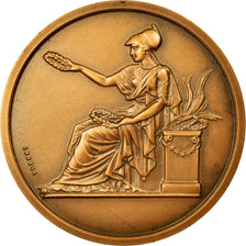 France, Medal, Société Industrielle du Nord de la France, 1967, Brenet