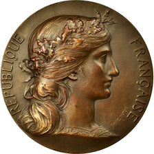 France, Medal, 8ème Concours Lépine, 1908, Dubois.H, MS(60-62), Bronze