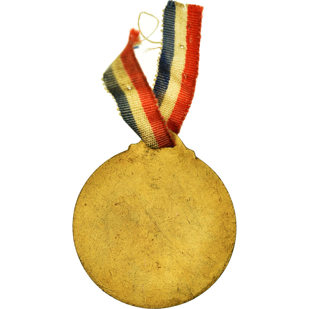 Frankreich, Medaille, Première Guerre Mondiale, Journée du poilu, sauvons les