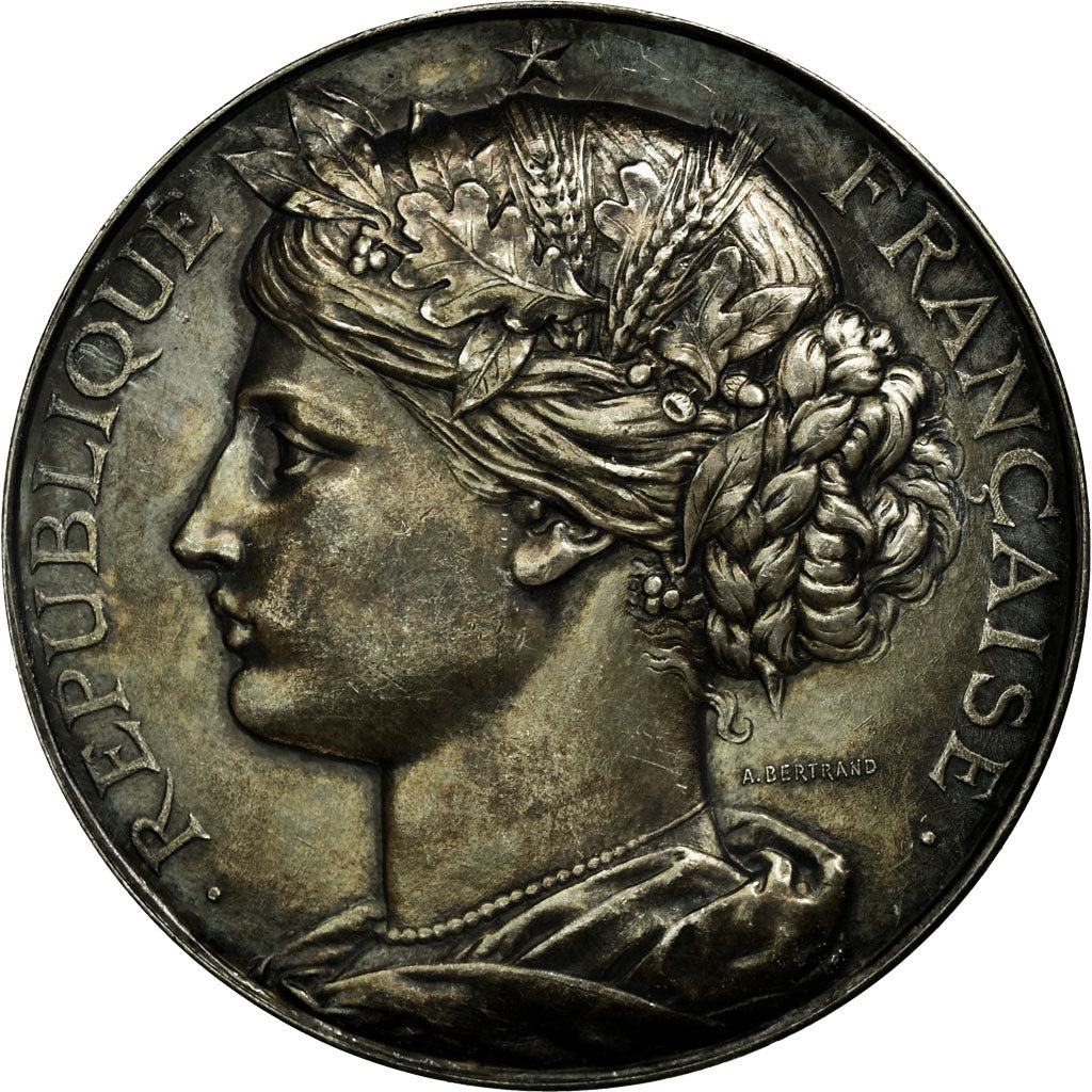 France, Médaille, Marianne, Ville d'Apt, Vaucluse, 1887, Arthus Bertrand, SUP