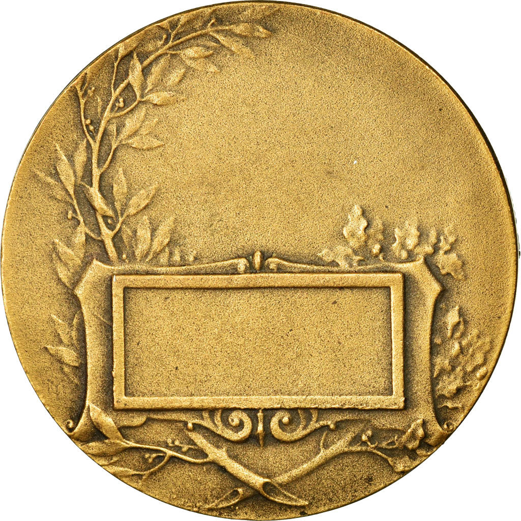 France, Medal, Art Nouveau, la Photographie, Monier, AU(55-58), Bronze