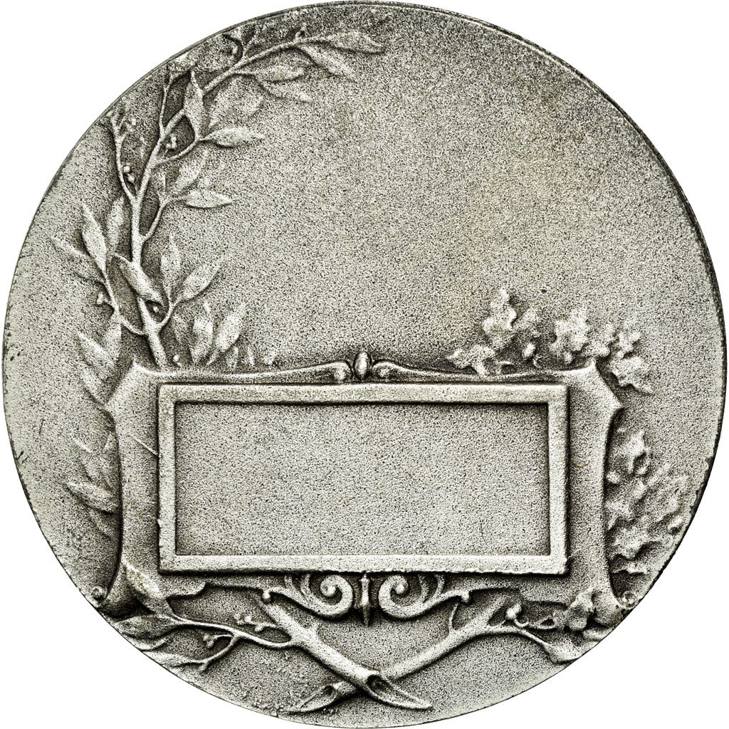 Frankreich, Medaille, Art Nouveau, la Photographie, Monier, VZ, Silvered bronze