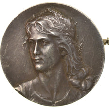 France, Médaille, Broche, Marianne, Dubois.H, TTB+, Argent