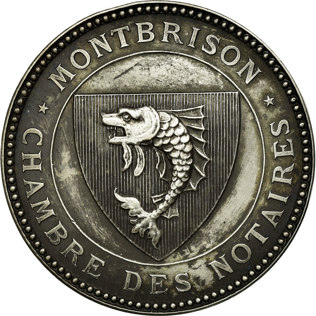 France, Jeton, Notaires de l'Arrondissement de Montbrison, 1876, SPL, Argent