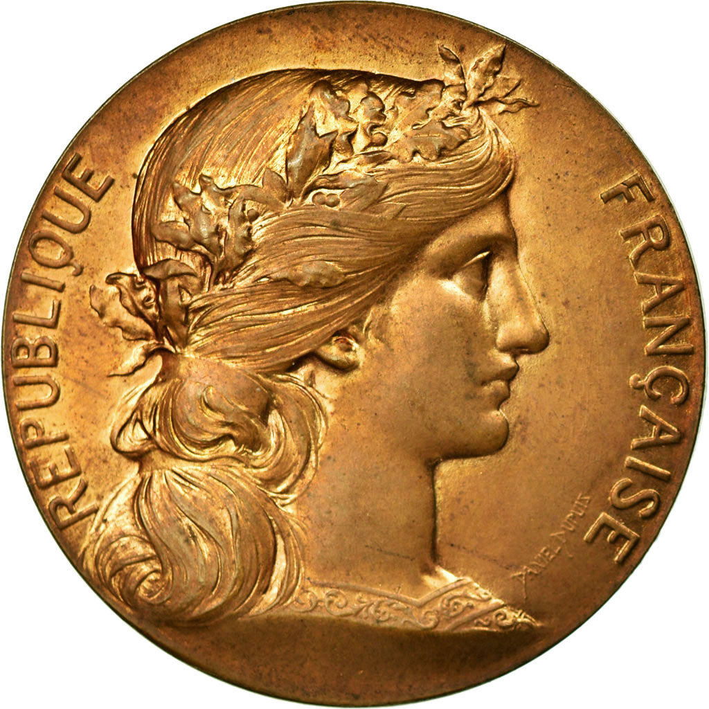 France, Jeton, Notaires de l'Arrondissement d'Amiens, Dupuis.D, SUP, Bronze