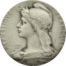 France, Medal, Chambre de Commerce de l'Indre, Châteauroux, Roty, AU(55-58)