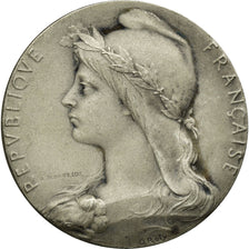 France, Medal, Chambre de Commerce de l'Indre, Châteauroux, Roty, AU(55-58)