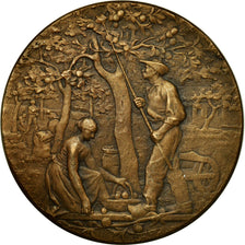 França, Medal, Syndicat Agricole du Plateau du Roumois, Rivet, AU(55-58)