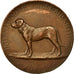 Switzerland, Medal, Exposition Canine Internationale, Zürich, Ourussel