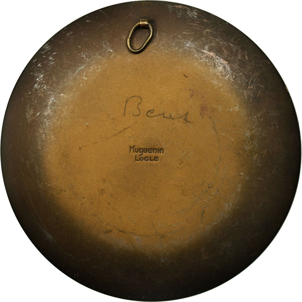 Schweiz, Medaille, Société de Tir de Saint-Gall, 1937, Huguenin, SS+, Bronze