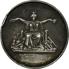 France, Medal, Commerce et Industrie, Massonnet, VF(30-35), Silver