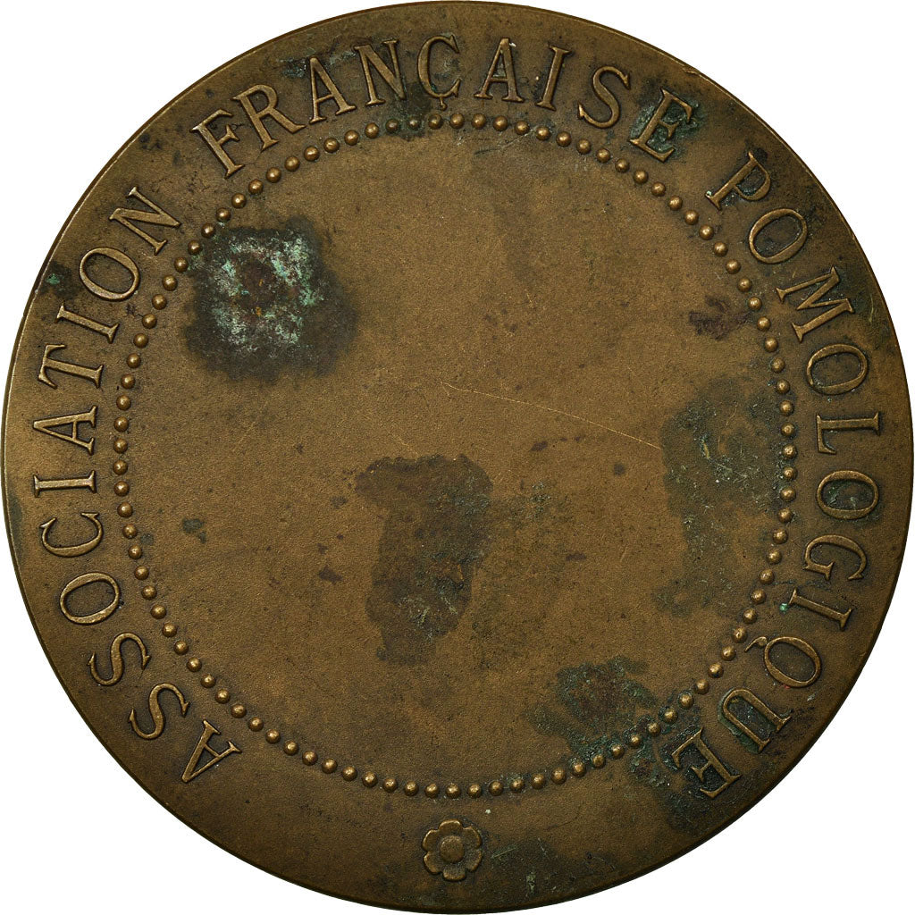 France, Medal, Association Française Pomologique, VF(30-35), Bronze