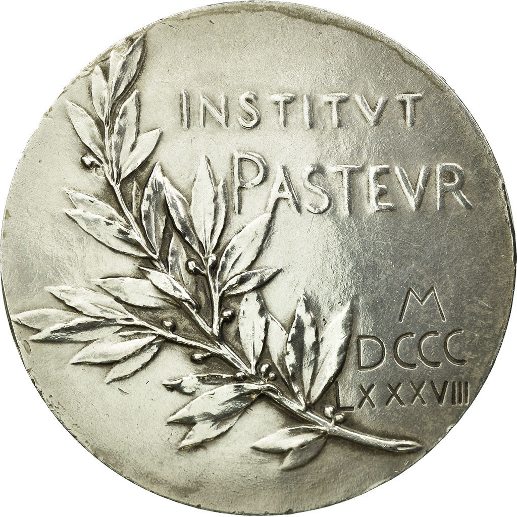 France, Medal, Institut Pasteur, 1888, Roty, MS(60-62), Silver