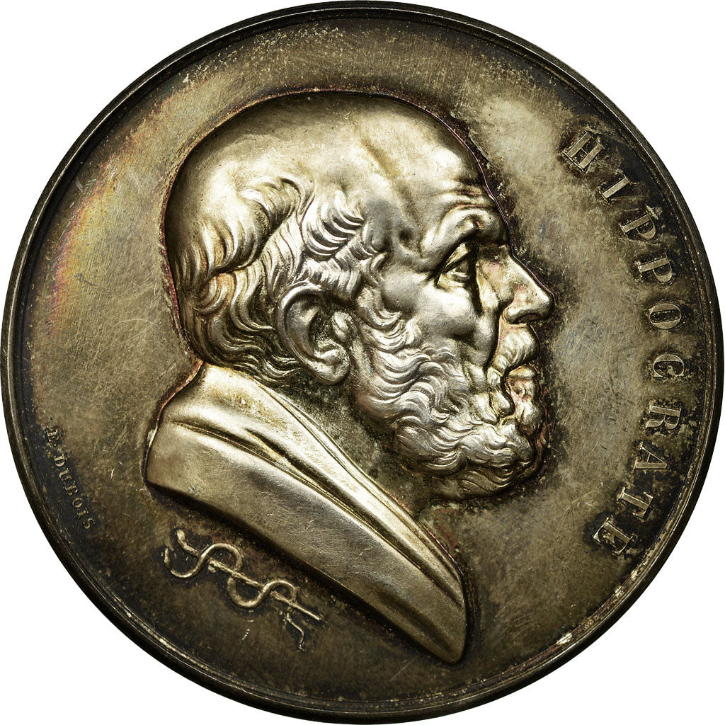 France, Medal, Académie de Médecine, Hygiène de l'Enfance, Perpignan, 1902