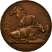 Frankrijk, Medaille, Concours d'Agriculture, Animaux, Dubois.A, ZF+, Bronze