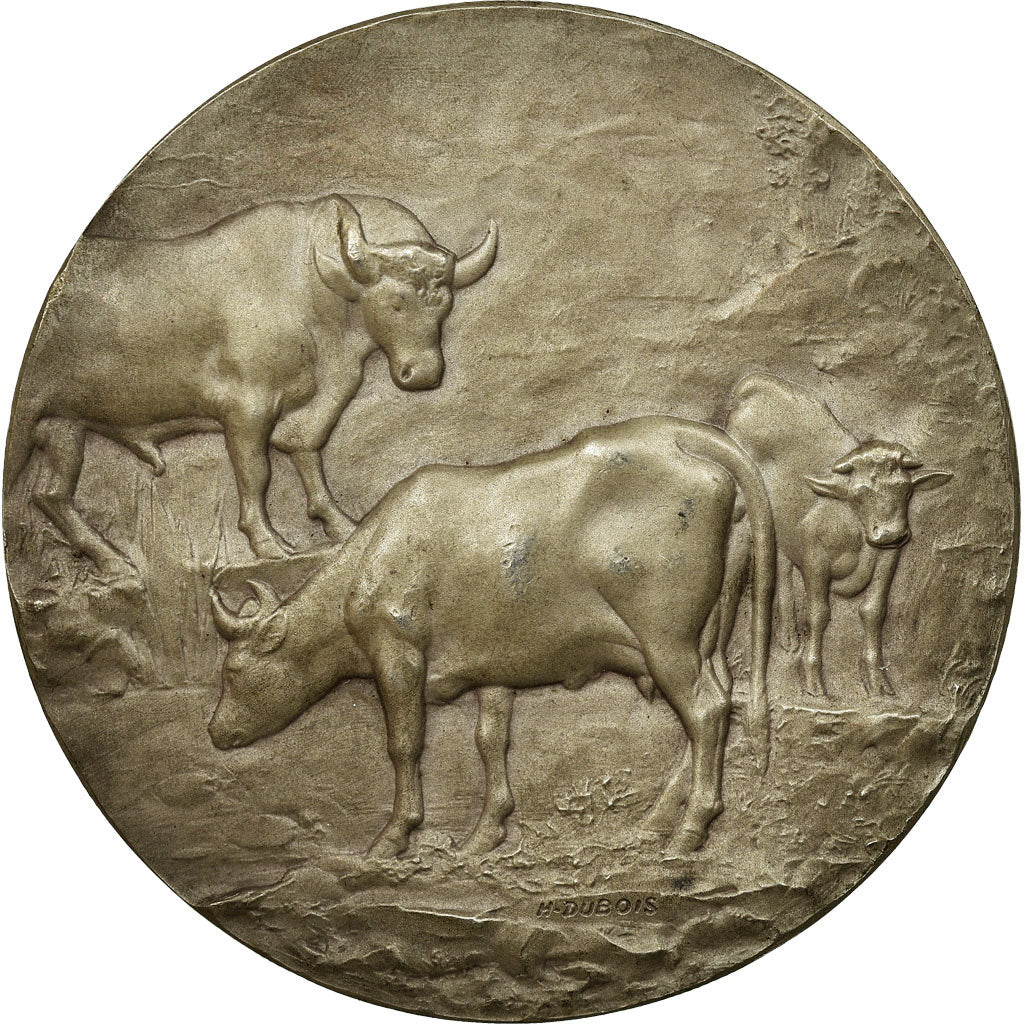 França, Medal, Agriculture, Grand Concours de Montivilliers, 1904, Dubois.H