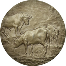 França, Medal, Agriculture, Grand Concours de Montivilliers, 1904, Dubois.H