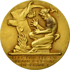 France, Medal, Électricité de France et gaz de France, Dropsy, MS(60-62), Gilt
