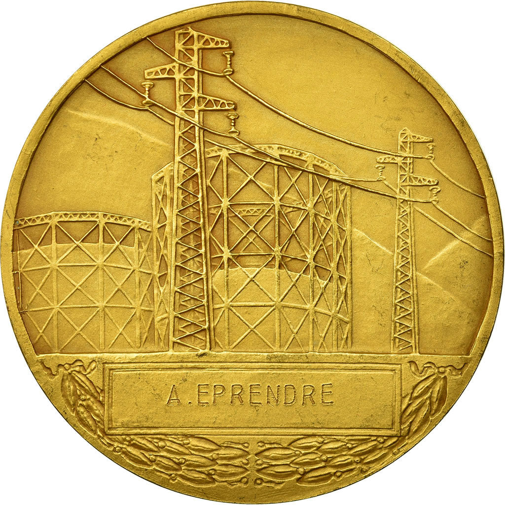 France, Medal, Électricité de France et gaz de France, Dropsy, MS(60-62), Gilt