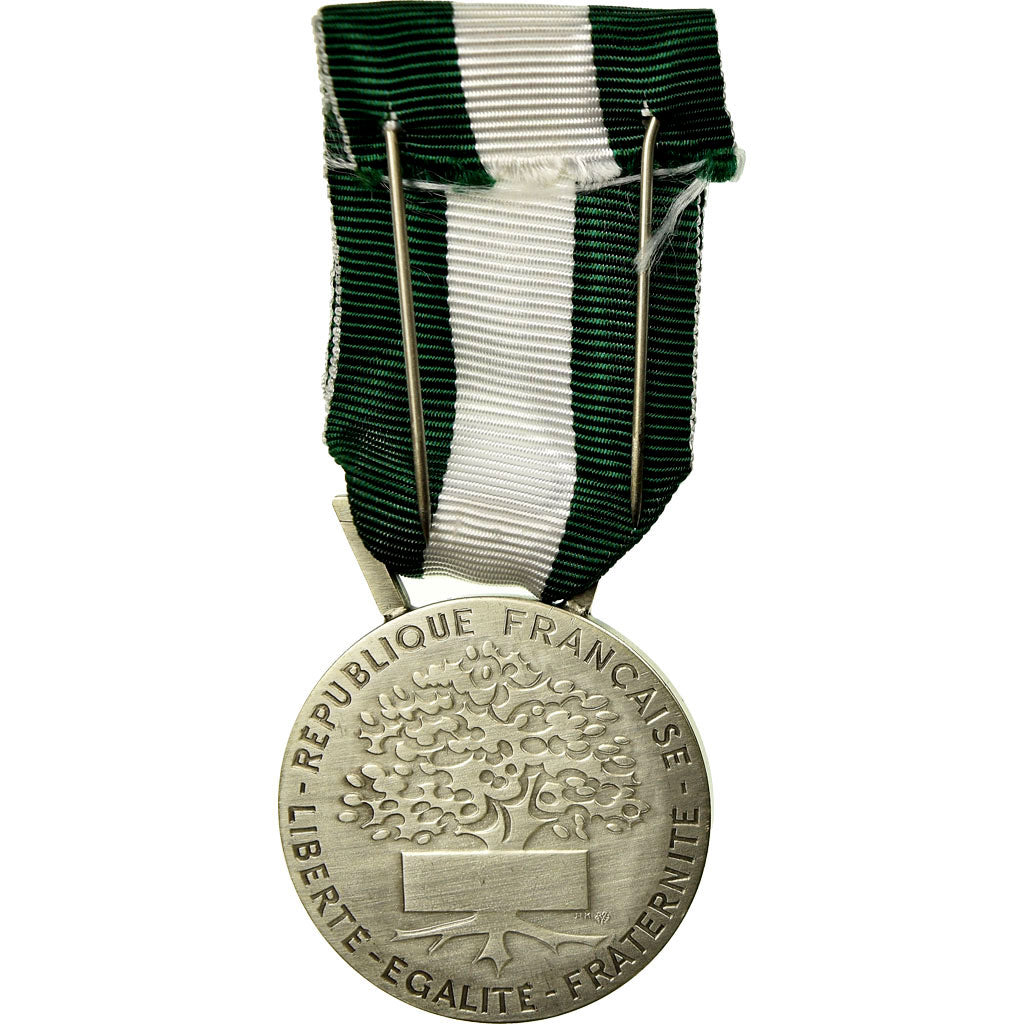 Francja, Médaille d'honneur communale, régionale et départementale, Medal