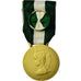 France, Médaille d'honneur communale, régionale et départementale, Medal