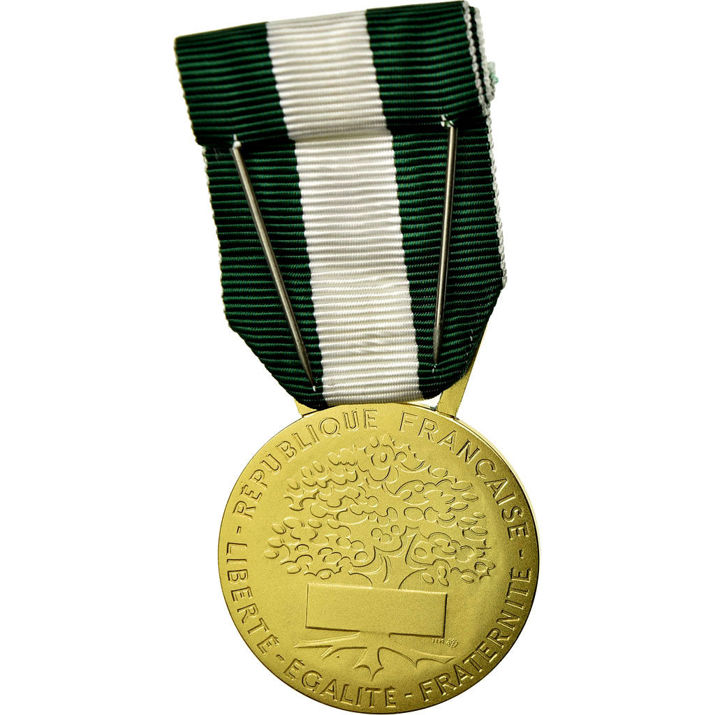 France, Médaille d'honneur communale, régionale et départementale, Medal