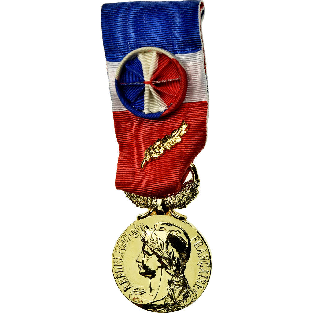 France, Médaille d'honneur du travail, Medal, 2007, Uncirculated, Gilt Bronze