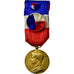 France, Médaille d'honneur du travail, Medal, 1975, Excellent Quality, Borrel