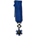 France, Réduction, Ordre Nationale du Mérite, Medal, 1963, Uncirculated