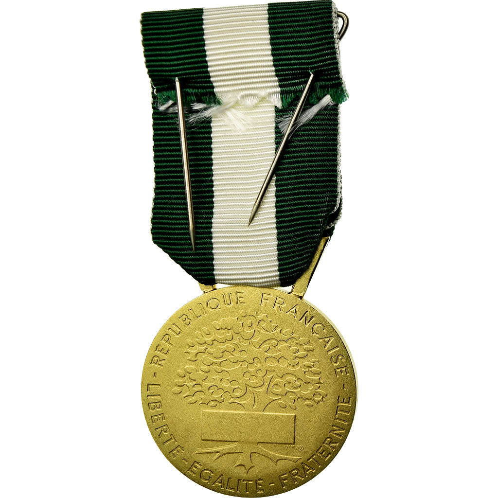 France, Médaille d'honneur communale, régionale et départementale, Medal