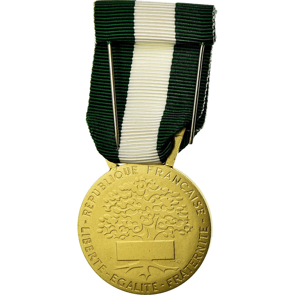 France, Médaille d'honneur communale, régionale et départementale, Medal