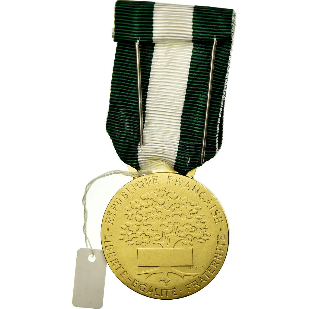 France, Médaille d'honneur communale, régionale et départementale, Medal