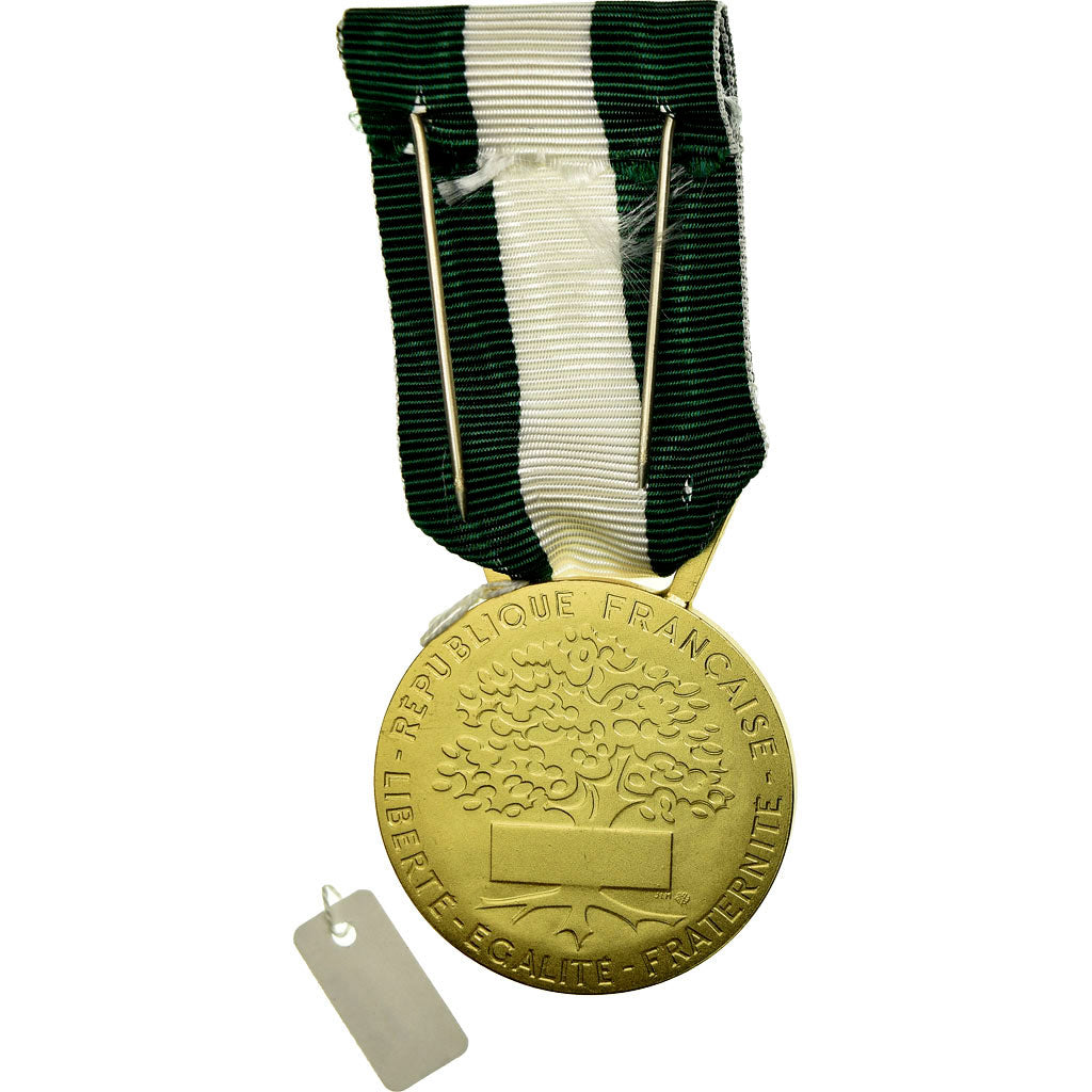 França, Médaille d'honneur communale, régionale et départementale, Medal