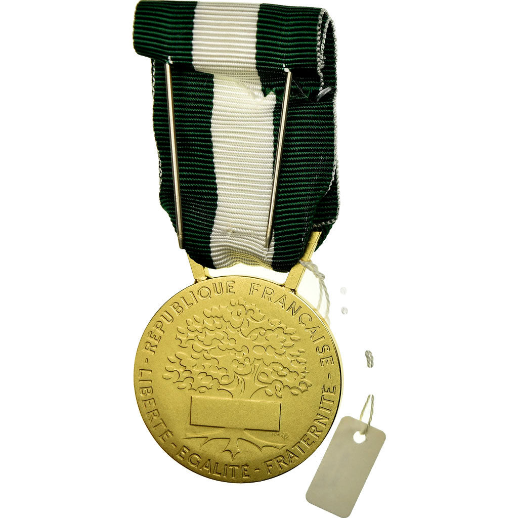 Francia, Médaille d'honneur communale, régionale et départementale, medalla