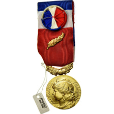 França, Médaille d'honneur du travail, Medal, Não colocada em circulação