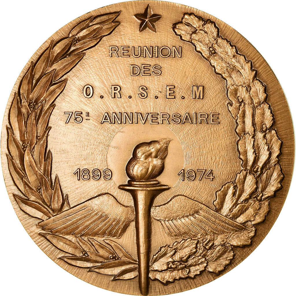 France, Medal, Armée, Réunion des ORSEM, 1974, MS(64), Bronze