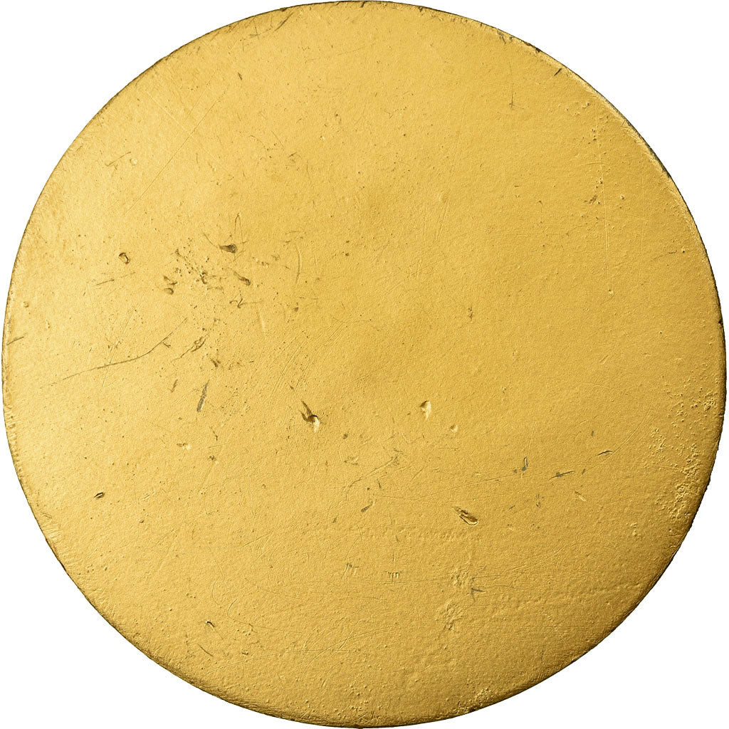 Francia, medaglia, Aide à Domicile en Milieu Rural, SPL-, Bronzo