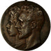 Belgique, Médaille, Landbouwe Comice, Kemmel-Yper, Veeprijskamp, 1909