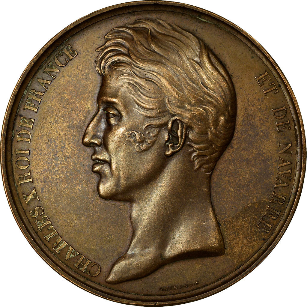 France, Medal, Charles X, Reconstruction de la Salle des Séances des Députés