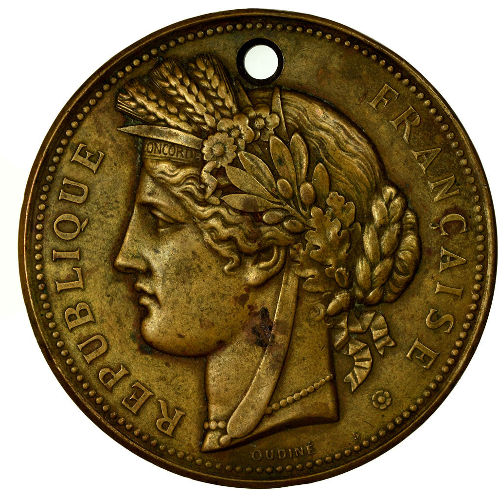 France, Medal, Exposition universelle de Paris, 1878, Oudiné, EF(40-45), Bronze
