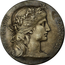 France, Medal, Chambre de Commerce de Rouen, Dupuis.D, MS(60-62), Silver