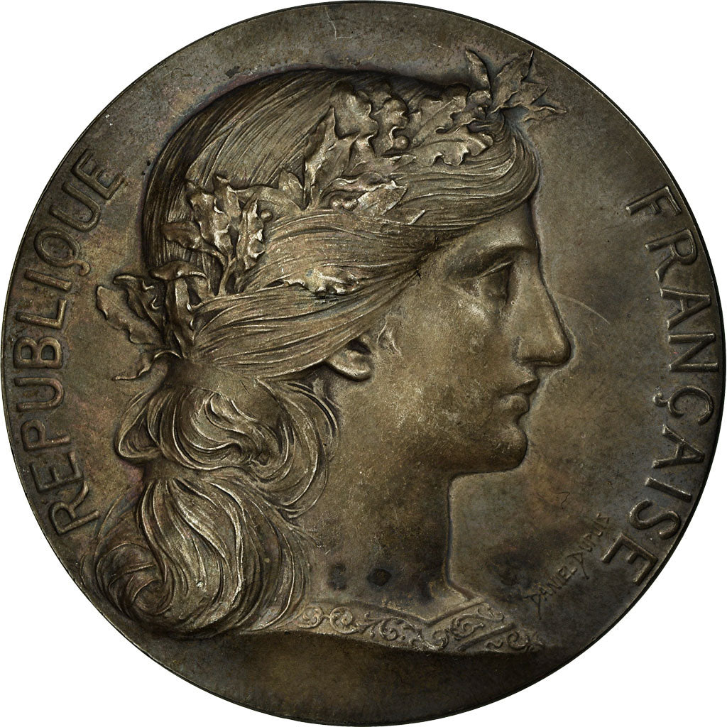France, Medal, Chambre de Commerce de Rouen, Dupuis.D, MS(60-62), Silver