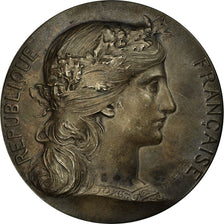 France, Medal, Chambre de Commerce de Rouen, Dupuis.D, MS(60-62), Silver