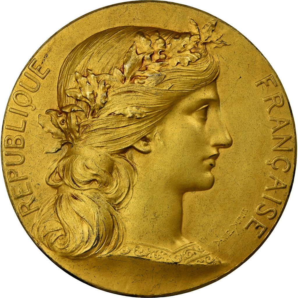 França, Medal, Chambre de Commerce de Rouen, Dupuis.D, MS(60-62), Vermeil