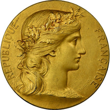 França, Medal, Chambre de Commerce de Rouen, Dupuis.D, MS(60-62), Vermeil