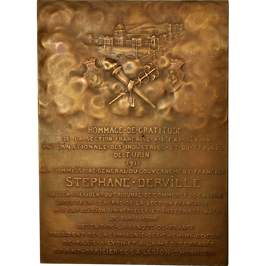 France, Medal, Exposition de Turin, Stéphane Dervillé, Commissaire du