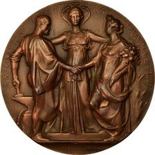 Belgium, Medal, Exposition internationale de Bruxelles, 1897, Lagae, MS(60-62)