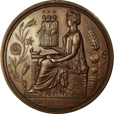 France, Médaille, Société Centrale des Architectes, 1878, Oudiné, SUP+
